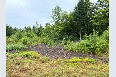 M3L11 Off Route 212, Merrill, ME 04780 - Photo 8