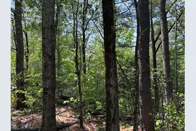 30 Acres Belden Woods Road, Palermo, ME 04354 - Photo 16