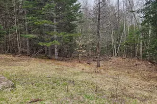 10 Hobbstown Rd, Milo, ME 04463 - Photo 16