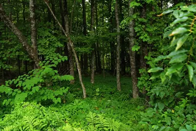 1135 Manchester Road, Belgrade, ME 04917 - Photo 100