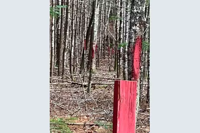 145 Lakeview Lane, Crawford, ME 04694 - Photo 40