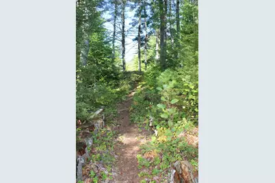 145 Lakeview Lane, Crawford, ME 04694 - Photo 26