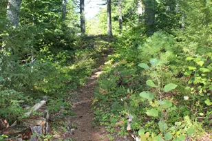 145 Lakeview Ln, Crawford, ME 04694 - Photo 26