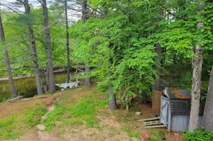 55 Webb Rivers Acres, Carthage, ME 04224 - Photo 4
