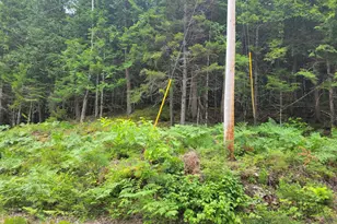 55 Webb Rivers Acres, Carthage, ME 04224 - Photo 22