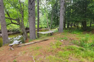 55 Webb Rivers Acres, Carthage, ME 04224 - Photo 18