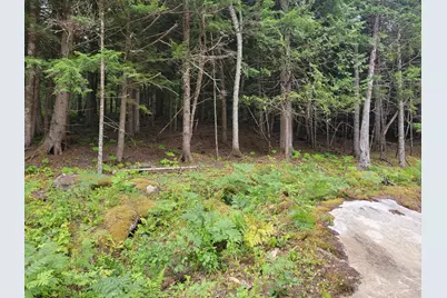 55 Webb Rivers Acres, Carthage, ME 04224 - Photo 20