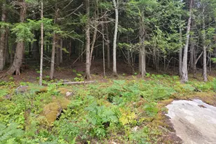 55 Webb Rivers Acres, Carthage, ME 04224 - Photo 20