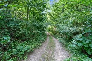 148 Lake House Rd, Naples, ME 04055 - Photo 48