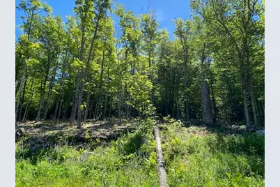 48 Bay View Drive, Greenville, ME 04441 - Photo 4