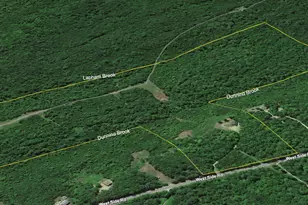 1245 West Side Rd, Weld, ME 04285 - Photo 60