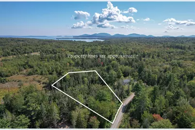 Lot 6 Kennel Brook Drive, Lamoine, ME 04605 - Photo 8