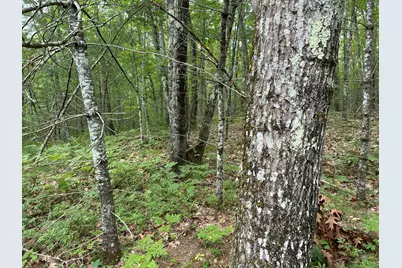 M3L71 Kennebunk Road, Alfred, ME 04002 - Photo 20