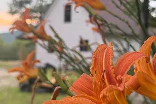 79 Bear Mountain Way, Swanville, ME 04915 - Photo 38
