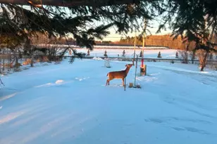 31 Wiswell Rd, Brewer, ME 04412 - Photo 52