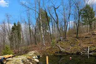 168 Vista View Rd, Lakeville, ME 04487 - Photo 12