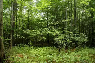 36 Jacob Ln, Starks, ME 04911 - Photo 8