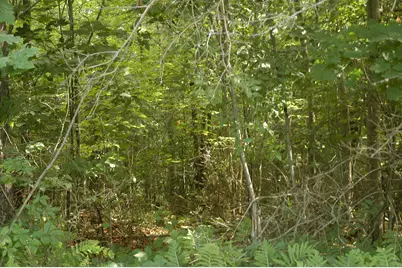 36 Jacob Lane, Starks, ME 04911 - Photo 10