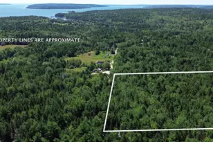 M39 L30D Jay Carter Rd, Blue Hill, ME 04614 - Photo 1