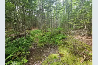 M39, L30D Jay Carter Road, Blue Hill, ME 04614 - Photo 4