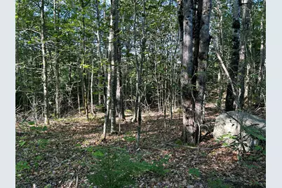 M13L7 Bear Mountain Road, Fairfield, ME 04937 - Photo 28