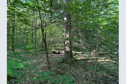 M13L7 Bear Mountain Road, Fairfield, ME 04937 - Photo 14