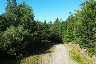 M13L7 Bear Mountain Rd, Fairfield, ME 04937 - Photo 1