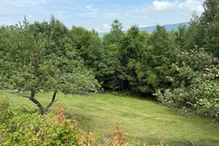 444 Barker Rd, New Vineyard, ME 04956 - Photo 24