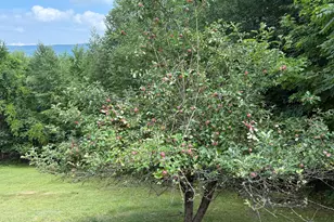 444 Barker Rd, New Vineyard, ME 04956 - Photo 36