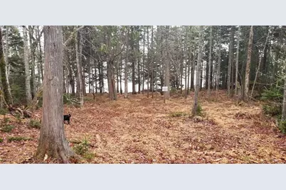 Lot 4 125 Aspen Lane, Steuben, ME 04680 - Photo 8