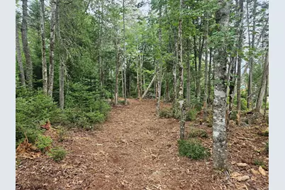 Lot 4 125 Aspen Lane, Steuben, ME 04680 - Photo 10