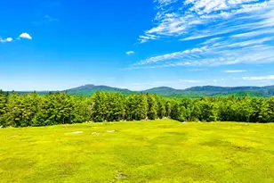 Map13Lot1 Martins Ridge Rd, Franklin, ME 04634 - Photo 1