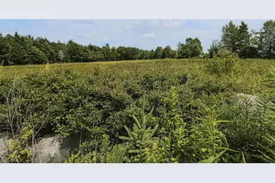 Map13Lot4 Martins Ridge Road, Franklin, ME 04634 - Photo 20