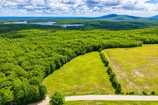 Map13Lot4 Martins Ridge Rd, Franklin, ME 04634 - Photo 1