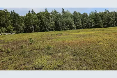 Map13Lot9 Martins Ridge Road, Franklin, ME 04634 - Photo 20