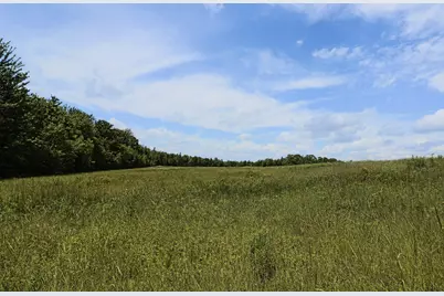 Map13Lot9 Martins Ridge Road, Franklin, ME 04634 - Photo 16