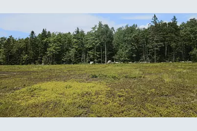 Map13Lot9 Martins Ridge Road, Franklin, ME 04634 - Photo 22