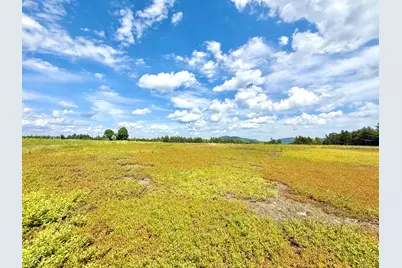 Map13Lot11 Martins Ridge Road, Franklin, ME 04634 - Photo 34