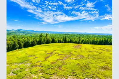 Map13Lot11 Martins Ridge Road, Franklin, ME 04634 - Photo 10