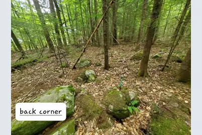 Map18Lot27 Sandy Beach Road, Danforth, ME 04424 - Photo 22