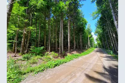 Map18Lot27 Sandy Beach Road, Danforth, ME 04424 - Photo 1