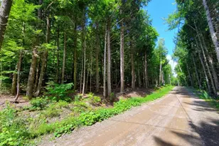 Map18Lot27 Sandy Beach Rd, Danforth, ME 04424 - Photo 1