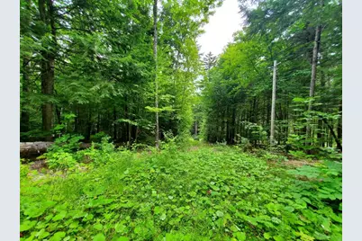 Map18Lot27 Sandy Beach Road, Danforth, ME 04424 - Photo 12