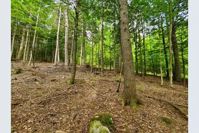 Map18Lot27 Sandy Beach Road, Danforth, ME 04424 - Photo 8