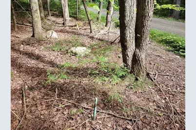 Map18Lot27 Sandy Beach Road, Danforth, ME 04424 - Photo 4