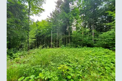 Map18Lot27 Sandy Beach Road, Danforth, ME 04424 - Photo 2