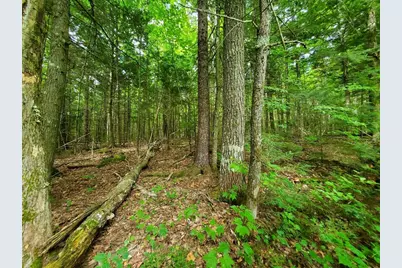 Map18Lot27 Sandy Beach Road, Danforth, ME 04424 - Photo 16