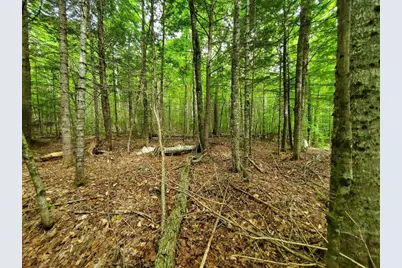 Map18Lot27 Sandy Beach Road, Danforth, ME 04424 - Photo 18