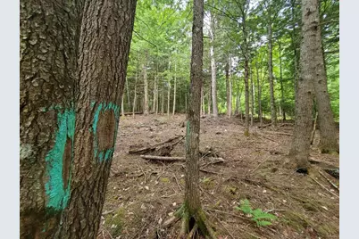 Map18Lot27 Sandy Beach Road, Danforth, ME 04424 - Photo 6
