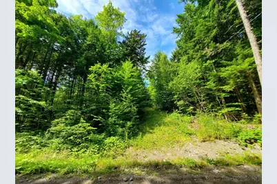 Map18Lot27 Sandy Beach Road, Danforth, ME 04424 - Photo 10